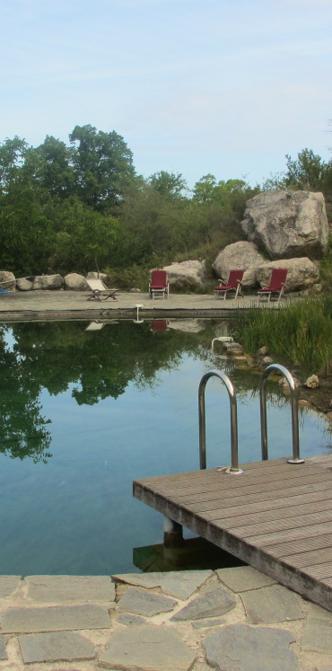 Piscine naturelle