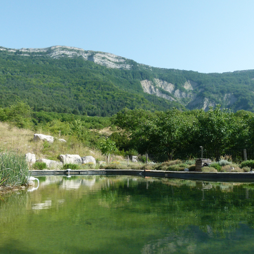 Piscine naturelle